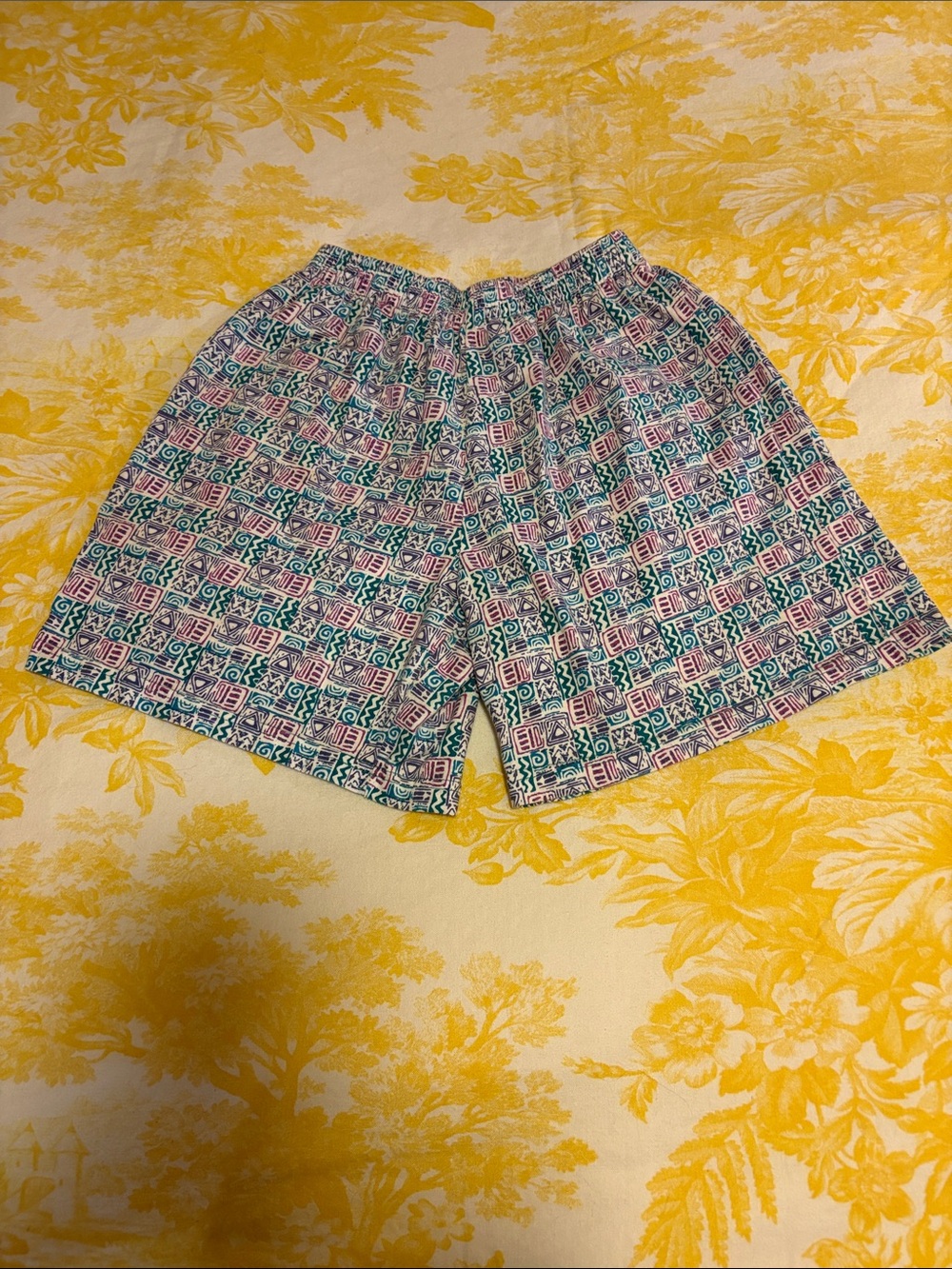 Vintage Geometric Print Elastic Waist Shorts in Teal & Pink